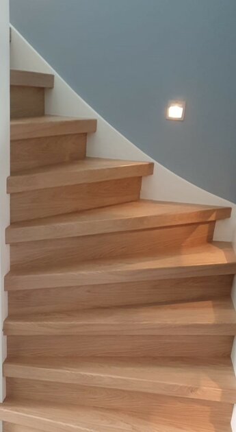 Masonic Hickory Natuur